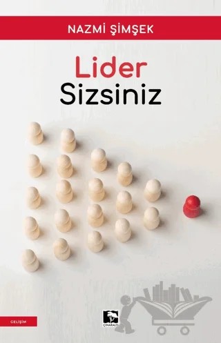 Lider Sizsiniz – Nazmi Şimşek – Çınaraltı Yayınları kitap kapağı