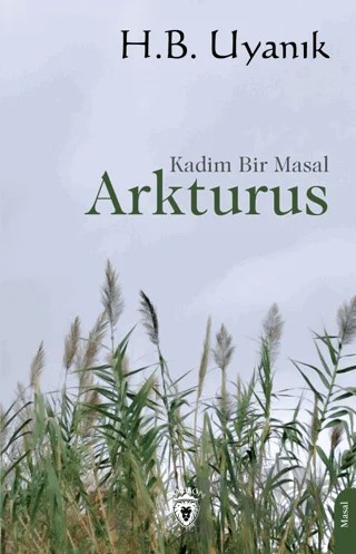 Arkturus - Kadim Bir Masal – H.B. Uyanık – Dorlion Yayınları kitap kapağı