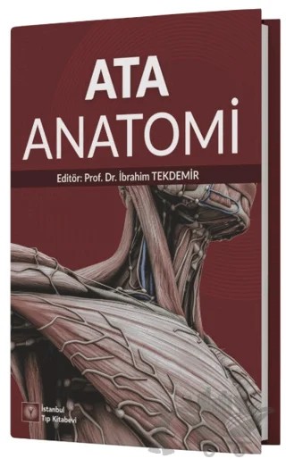 Ata Anatomi – Kolektif – İstanbul Tıp Kitabevi kitap kapağı