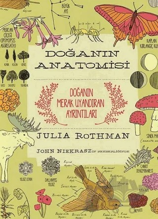 Doğanın Anatomisi – Julia Rothman – ODTÜ Geliştirme Vakfı Yayıncılık kitap kapağı