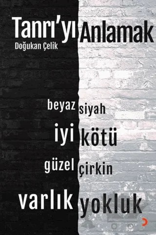 Tanrı’yı Anlamak – Doğukan Çelik – Cinius Yayınları kitap kapağı