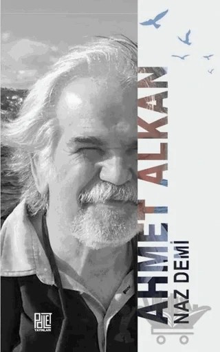 Naz Demi – Ahmet Alkan – Palet Yayınları kitap kapağı