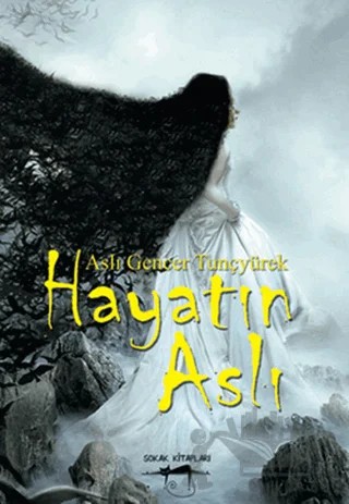 Hayatın Aslı – Aslı Gencer Tunçyürek – Sokak Kitapları Yayınları kitap kapağı