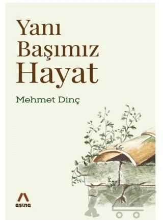 Yanı Başımız Hayat – Mehmet Dinç – Aşina Yayınları kitap kapağı