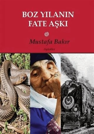 Boz Yılanın Fate Aşkı – Mustafa Bakır – Artshop Yayıncılık kitap kapağı
