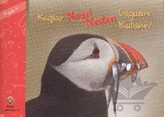 Kuşlar Nasıl ve Neden Gagasını Kullanır? – Elaine Pascoe – TÜBİTAK Yayınları kitap kapağı