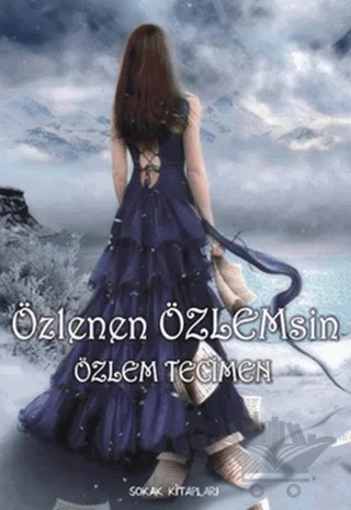 Özlenen Özlemsin – Özlem Tecimen – Sokak Kitapları Yayınları kitap kapağı