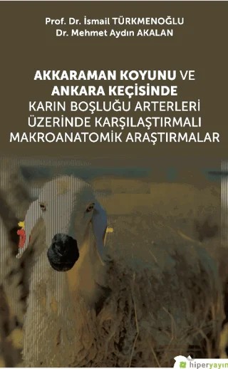 Akkaraman Koyunu ve Ankara Keçisinde Karın Boşluğu Arterleri Üzerinde Karşılaştırmalı Makroanatomik Araştırmalar – İsmail Türkmen, Mehmet Aydın Akalan – Hiperlink Yayınları kitap kapağı