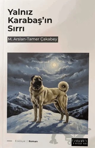 Yalnız Karabaş'ın Sırrı – M. Arslan, Tamer Çakabey – Çakabey Yayınları kitap kapağı