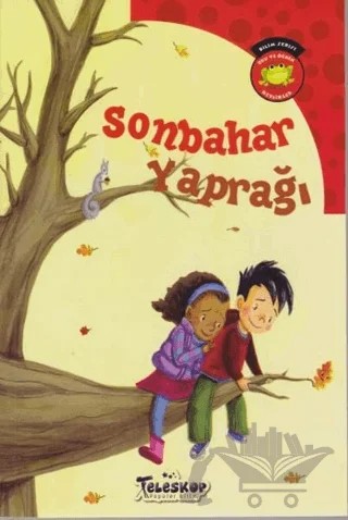 Sonbahar Yaprağı – Carl Emerson – Teleskop Popüler Bilim kitap kapağı
