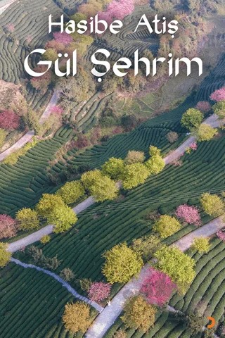 Gül Şehrim – Hasibe Atiş – Cinius Yayınları kitap kapağı