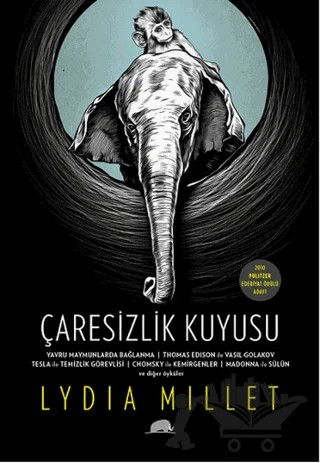 Çaresizlik Kuyusu – Lydia Millet – Kolektif Kitap kitap kapağı