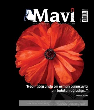 Mavi Gök Kültür Sanat Edebiyat Dergisi Sayı: 7 Mayıs - Haziran 2022 – Mavi Gök Dergisi Yayınları kitap kapağı