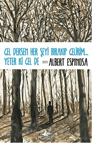 Gel Dersen Her Şeyi Bırakıp Gelirim... Yeter ki Gel de – Albert Espinosa – Pegasus Yayınları kitap kapağı