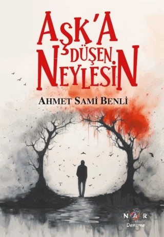 Aşk'a Düşen Neylesin – Ahmet Sami Benli – Nar Yayınları kitap kapağı