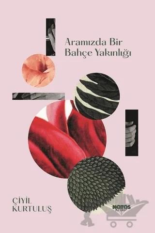 Aramızda Bir Bahçe Yakınlığı – Çiyil Kurtuluş – Notos Kitap kitap kapağı