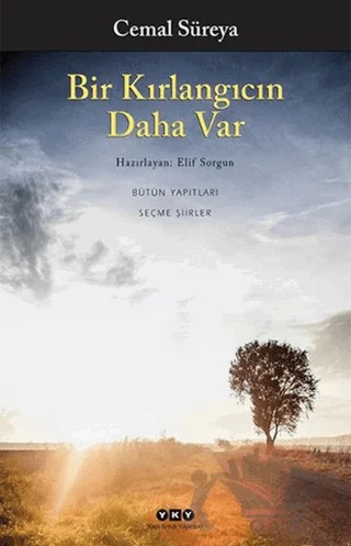 Bir Kırlangıcın Daha Var – Cemal Süreya – Yapı Kredi Yayınları kitap kapağı