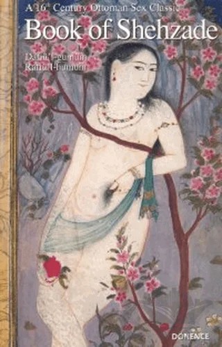 Book of Shehzade – Mehmed Gazali – Dönence Basım ve Yayın Hizmetleri kitap kapağı