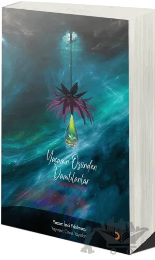 Yaşamın Özünden Damıtılanlar – İnci Yıkılmaz – Cinius Yayınları kitap kapağı