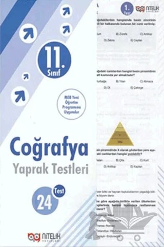 11. Sınıf Coğrafya 24 Yaprak Test – Kolektif – Nitelik Yayınları - Bayilik kitap kapağı