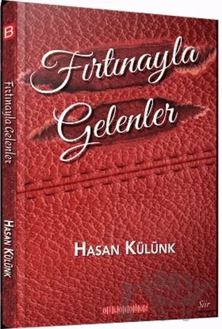Fırtınayla Gelenler – Hasan Külünk – Bilgeoğuz Yayınları kitap kapağı