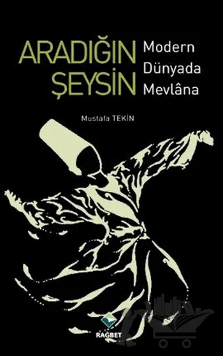 Aradığın Şeysin – Mustafa Tekin – Rağbet Yayınları kitap kapağı