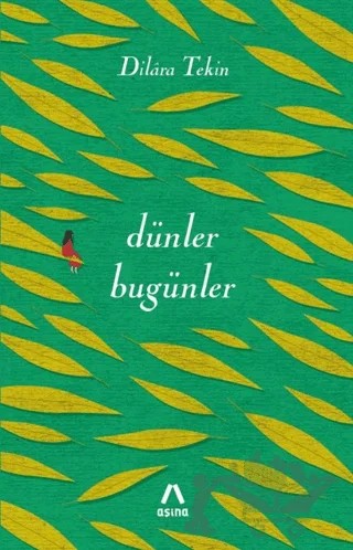 Dünler Bugünler – Dilara Tekin – Aşina Yayınları kitap kapağı