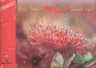 Bazı Bitkiler Nasıl ve Neden Böcek Yer? – Elaine Pascoe – TÜBİTAK Yayınları kitap kapağı