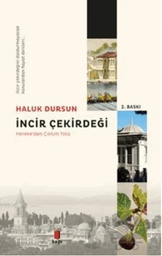 İncir Çekirdeği – Haluk Dursun – Kapı Yayınları kitap kapağı