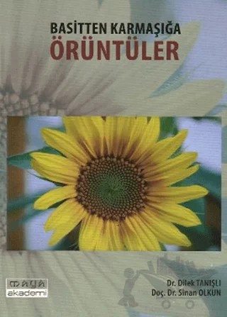 Basitten Karmaşığa Örüntüler – Dilek Tanışlı, Sinan Olkun – Maya Akademi Yayınları kitap kapağı