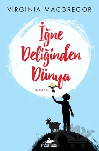 İğne Deliğinden Dünya – Virginia Macgregor – Pegasus Yayınları kitap kapağı