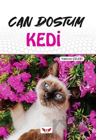 Can Dostum Kedi – Yıldırım Çelebi – Minel Yayın kitap kapağı