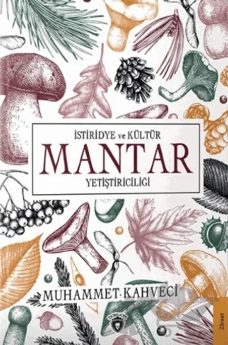 İstiridye ve Kültür Mantar Yetiştiriciliği – Muhammet Kahveci – Dorlion Yayınları kitap kapağı
