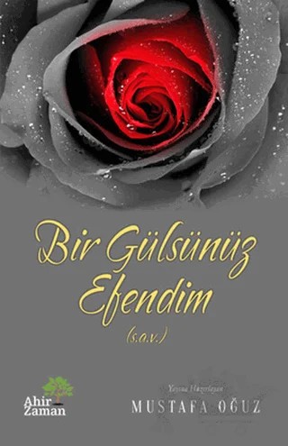 Bir Gülsünüz Efendim (s.a.s) – Kolektif – Ahir Zaman kitap kapağı