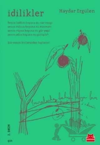 İdilikler – Haydar Ergülen – Kırmızı Kedi Yayınevi kitap kapağı