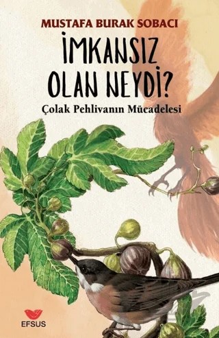 İmkansız Olan Neydi? – Mustafa Burak Sobacı – Efsus Yayınları kitap kapağı