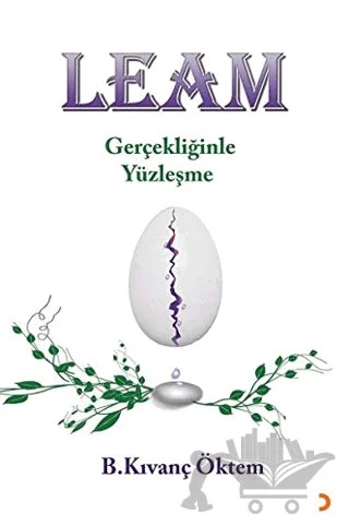 Leam - Gerçekliğinde Yüzleşme – B. Kıvanç Öktem – Cinius Yayınları kitap kapağı
