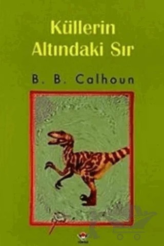 Küllerin Altındaki Sır – B. B. Calhoun – TÜBİTAK Yayınları kitap kapağı