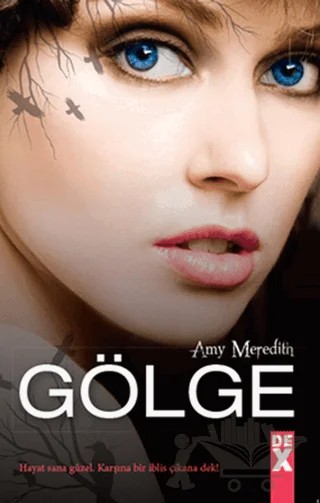 Gölge – Amy Meredith – Dex Yayınevi kitap kapağı