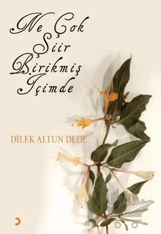 Ne Çok Şiir Birikmiş İçimde – Dilek Altun Dede – Cinius Yayınları kitap kapağı