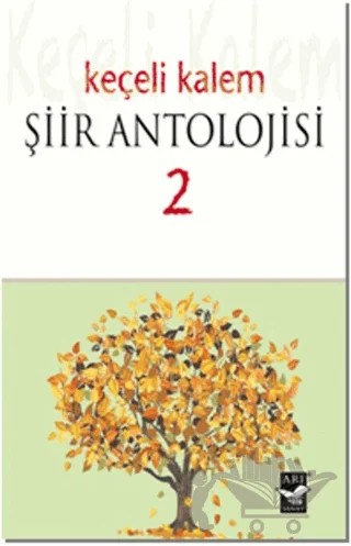 Keçeli Kalem – Elif Yıldırım Aka – Arı Sanat Yayınevi kitap kapağı
