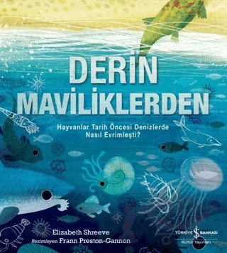 Derin Maviliklerden – Elizabeth Shreeve – İş Bankası Kültür Yayınları kitap kapağı