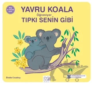 Yavru Koala Öğreniyor Tıpkı Senin Gibi – Elodie Coudray – 1001 Çiçek Kitaplar kitap kapağı