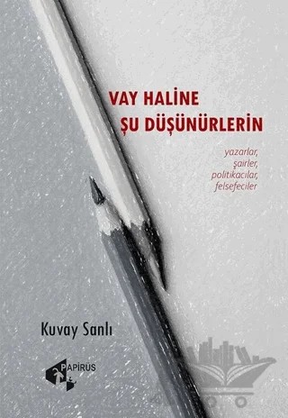 Vay Haline Şu Düşünürlerin – Kuvay Sanlı – Papirüs Yayınevi kitap kapağı