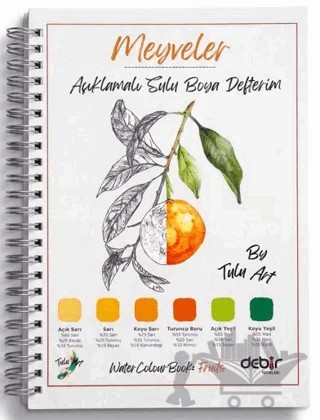 Açıklamalı Sulu Boya Defterim: Meyveler – Tulu Art – Debir Yayınları kitap kapağı