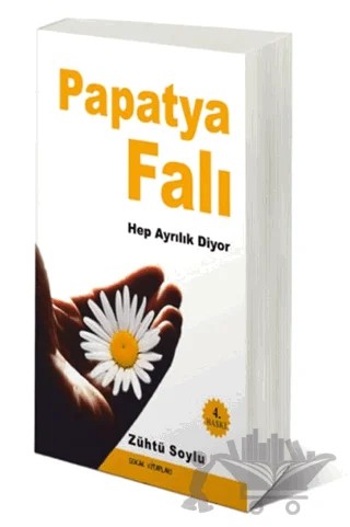 Papatya Falı – Zühtü Soylu – Sokak Kitapları Yayınları kitap kapağı