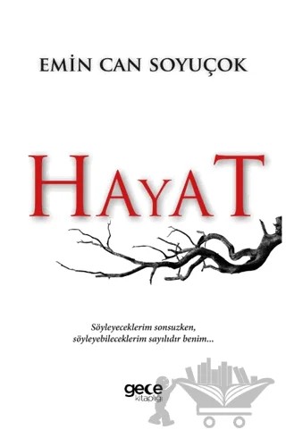 Hayat – Emin Can Soyuçok – Gece Kitaplığı kitap kapağı