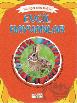 Bildiğin Gibi Değil - Evcil Hayvanlar – Asena Meriç – Yediveren Çocuk kitap kapağı