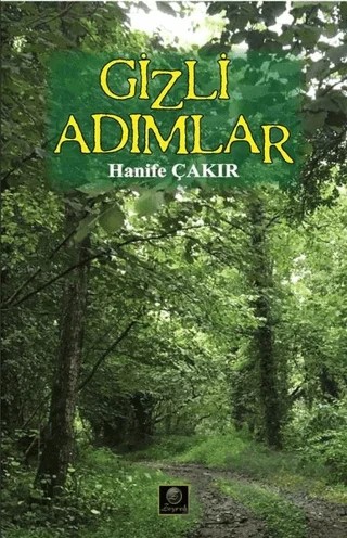Gizli Adımlar – Hanife Çakır – Zeyrek Yayıncılık kitap kapağı