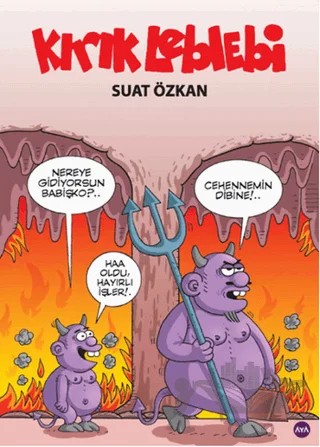 Kırık Leblebi – Suat Özkan – Aya Kitap kitap kapağı